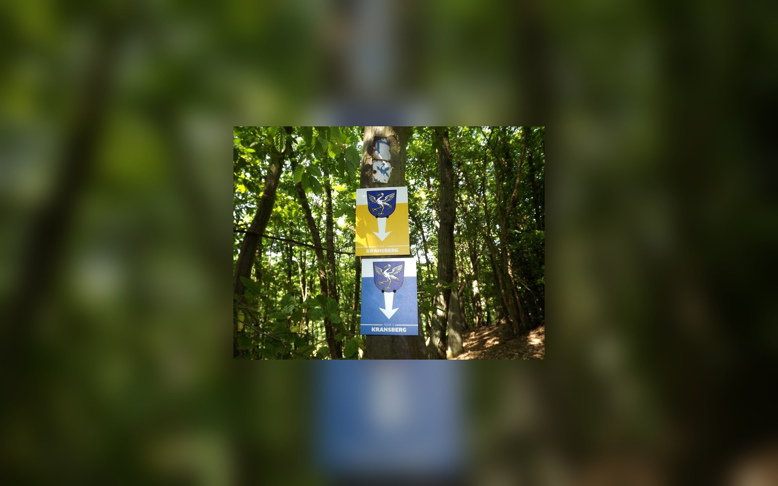 Rundwanderwege rund um Kransberg